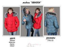 orhidea.jpg4870�