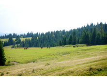 2012-08-21 at 12-21-56.jpg