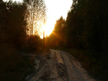 08.09.2008 21:16:42