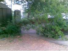 19.07.2010 0:06:27