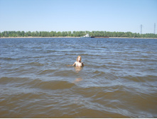 19.07.2010 0:18:03