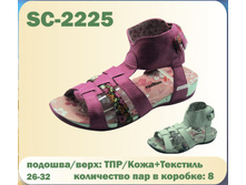 SC-2225.jpg