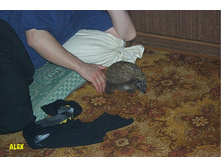 09.09.2008 12:53:55