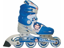 Skyracer_set_4b9a08b490285.jpg