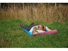 DSC_1994.JPG