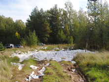 DSC_0037.jpg