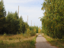 DSC_0050.jpg
