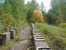 DSC_0091.jpg