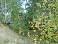 DSC_0101.jpg