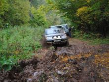 DSC_0145.jpg