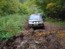 DSC_0146.jpg