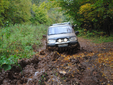 DSC_0147.jpg