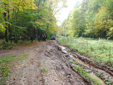 DSC_0161.jpg