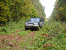 DSC_0165.jpg