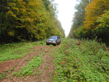 DSC_0166.jpg