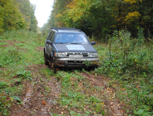 DSC_0168.jpg