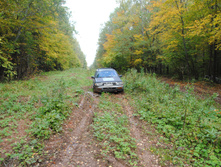 DSC_0169.jpg