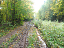 DSC_0171.jpg