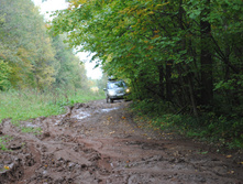 DSC_0174.jpg