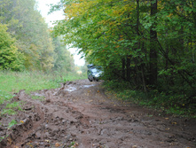 DSC_0175.jpg
