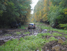 DSC_0185.jpg