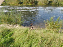 DSC_0208.jpg