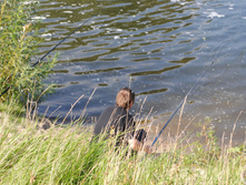 DSC_0209.jpg
