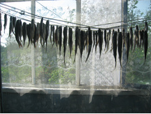 20.07.2010 9:43:08