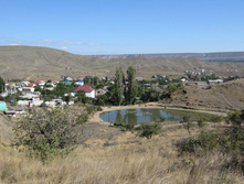 IMG_7549.jpg