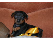 08.04.2012 19:24:10