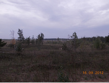 DSCN0056.JPG