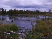DSCN0082.JPG