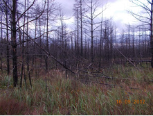 DSCN0083.JPG
