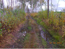 DSCN0084.JPG