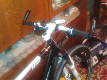 IMAG0104.jpg