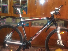 IMAG0103.jpg