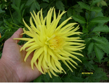 S73R3297.JPG