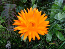 S73R3323.JPG