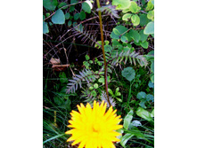S73R3325.JPG