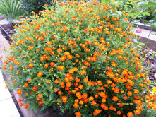 S73R3357.JPG