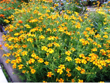 S73R3358.JPG