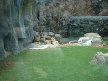 24.09.2008 22:04:38
