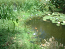 24.09.2008 22:06:48