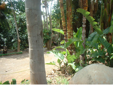 24.09.2008 22:09:03