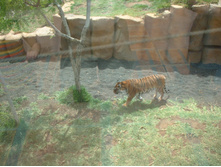 24.09.2008 22:09:32