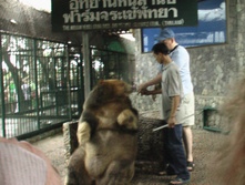 24.09.2008 22:44:01
