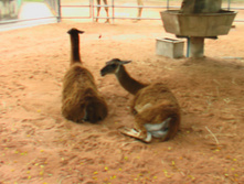 24.09.2008 22:45:37