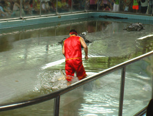 24.09.2008 22:49:04