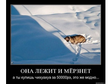 22.07.2010 20:36:31