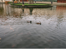 28.09.2008 14:46:08